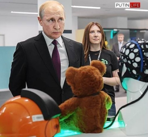 "А ну-ка, медведь": новый пост Путина удивил россиян