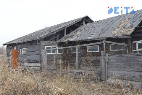 «Я теперь буду бояться» — пришедший в село хищник попал на видео