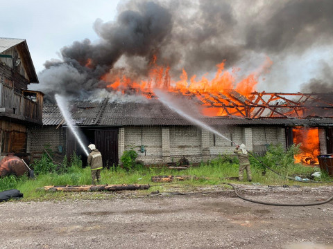 Фото: мощный пожар случился на лесопилке