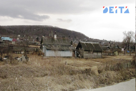 На Дальний Восток пришли опасные насекомые