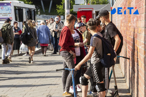 Школьникам предложили выдать «шкулфоны»