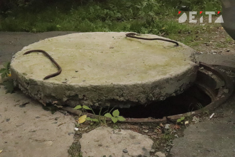 Россияне рассказали о своих бедах с жильём