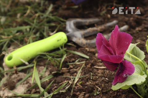 Эксперты растолковали тонкости обновленной "дачной амнистии"