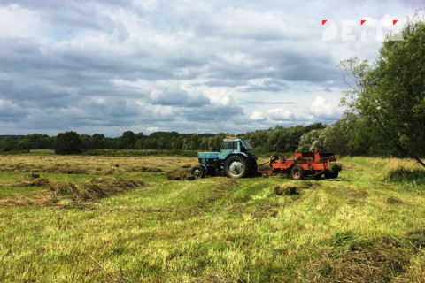 В сельскохозяйственной отрасли Сахалина намечается прорыв