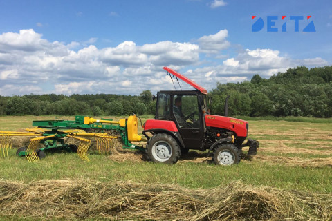 Гранты, кредиты и подъемные получают аграрии Сахалина