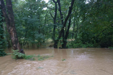 Сброс воды из водохранилищ утопил частный сектор Владивостока