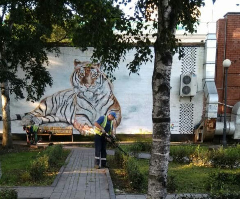 Неправильную траву ищут во Владивостоке