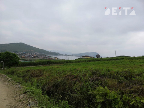 Вот кому в крае ждать тумана и грозы