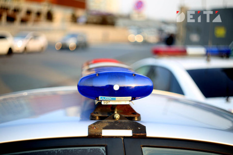 Вот кого поджидают гаишники у дачных поселков