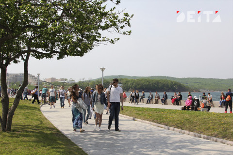 «Не закон, а маразм» — закон об обнулении штрафов возмутил россиян