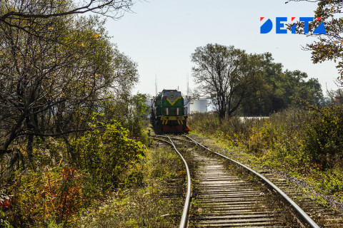 Ставку НДС обнулят: в Налоговый кодекс вносят поправки