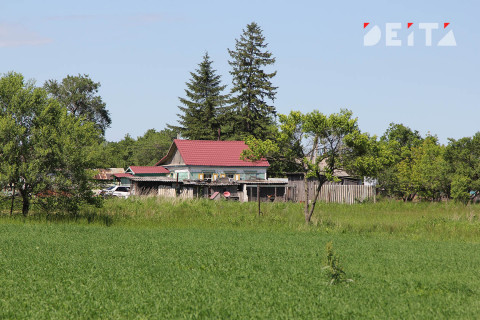 Власти готовят сюрприз для дачников