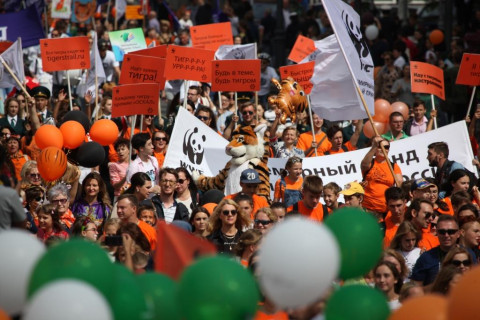 Жители Владивостока прошли в костюмах тигров по центральным улицам