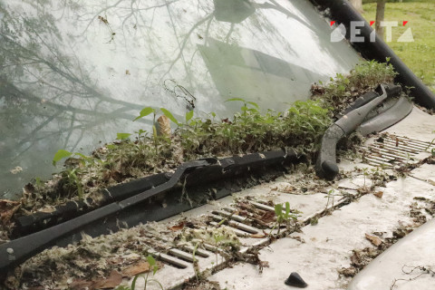 Вот чего не надо делать, чтобы не убить «дворники» на авто