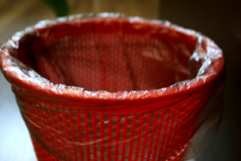 Россиянам запретят выбрасывать это в мусорку