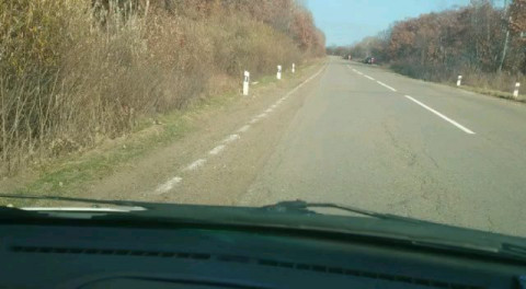 «Исполнительные, но безмозглые» — приморские дорожники перестарались