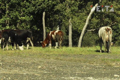 Российские власти возьмутся за село