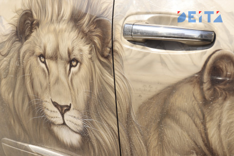 Полмиллиона за парковку у дома заплатит женщина