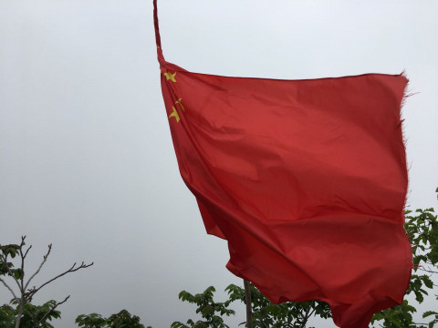 Шокирующая статистика: Китай гребет российский лес