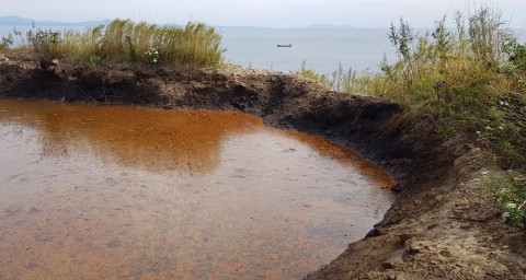 Фото: Мазут течет в Японское море ручьем
