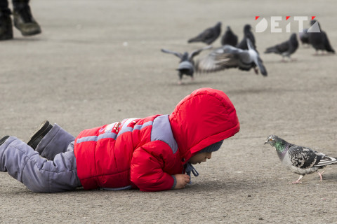 «Мы не искали еду» - история с детьми в мусорном баке получила продолжение