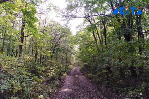 «Пойду стрелять в людей» - россияне о праздничных планах