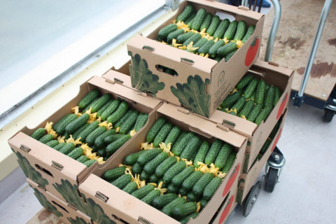 «Очень дорого»: россияне переходят с овощей на крупы