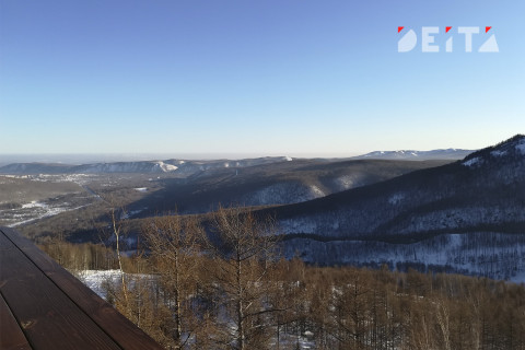 Бизнес уходит в лес