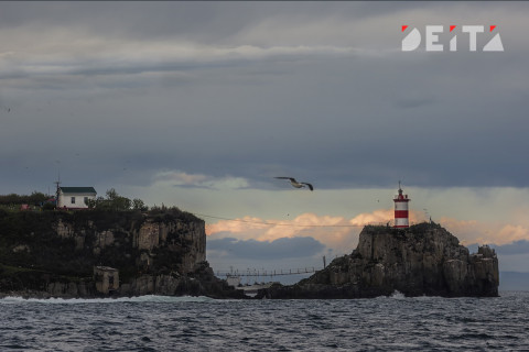 Лучших москвичей завезут на Дальний Восток