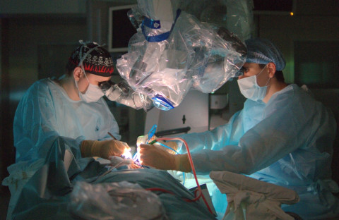 Врачей зазывают на Дальний Восток двумя миллионами