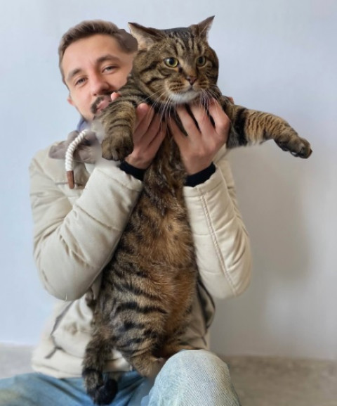 Хозяин толстого кота предложил решение большой авиакомпании