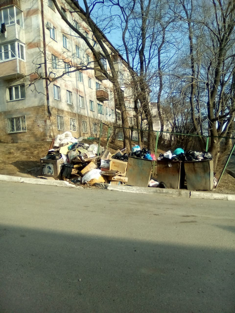 «Стало только хуже» - жителей города засыпает мусором