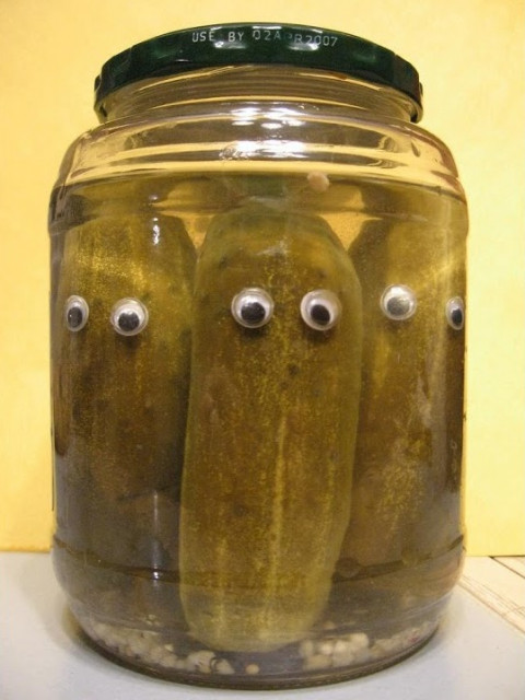 Спикер думы сравнила горожан с огурцами в банке