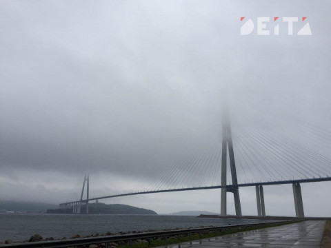 Владивосток недосчитается 2,5 млрд рублей
