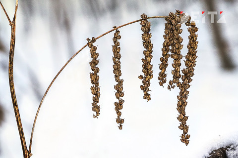 Какой будет предстоящая неделя, сказали синоптики