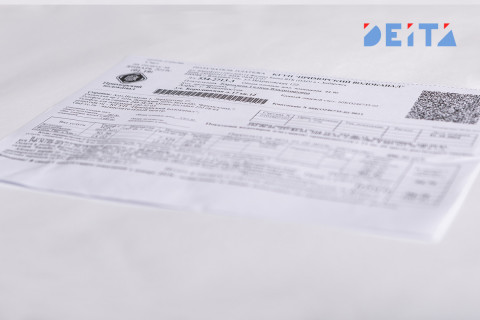 Злостных неплательщиков за услуги ЖКХ защитят в России