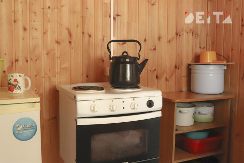 В некоторых сортах российского чая нашли пестициды