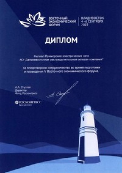 «РОСКОНГРЕСС» ДАЛ ВЫСОКУЮ ОЦЕНКУ РАБОТЕ ЭНЕРГЕТИКОВ «ПРИМОРСКИХ ЭЛЕКТРИЧЕСКИХ СЕТЕЙ» НА ВЭФ