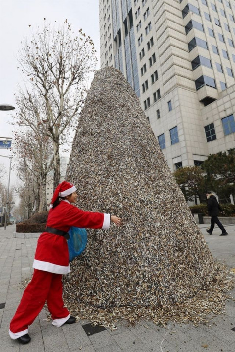 Елка из «бычков» появилась на улице города