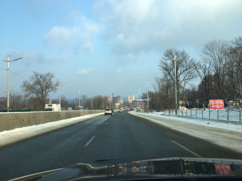 Вот чем поможет автомобилистам России кошачий туалет