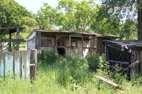 Редкое животное нашли в курятнике приморцы