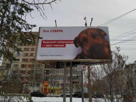 «Друг человека»: новый губернатор - лучше собаки