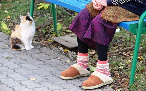 «Бабушка плачет от обиды»: надбавку в 1 рубль объяснили в ПФР