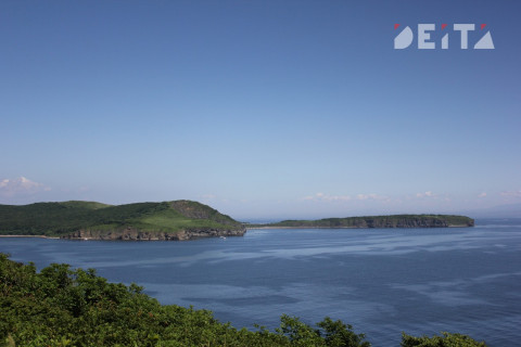 Люди Путина отбили юг Приморья от газового терминала