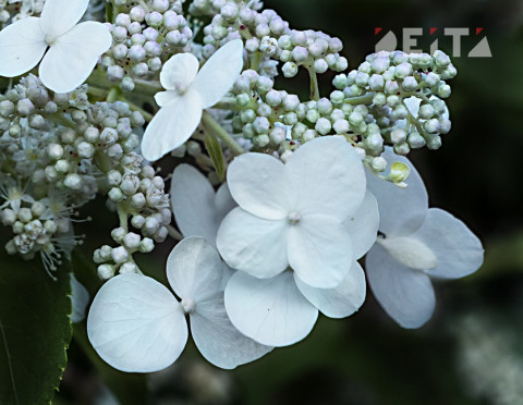 Синоптики: в России теплеет с рекордной скоростью