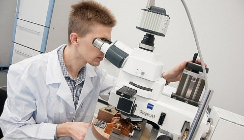 Птичий грипп угрожает России