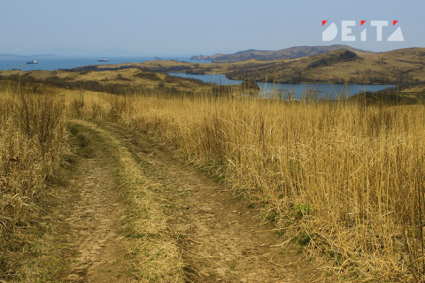 Дальневосточному гектару нашли неожиданное применение