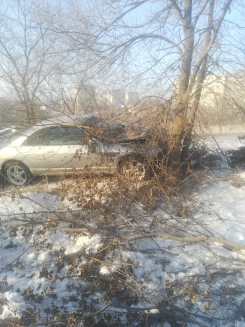 «Пока цела» - дерево встало на пути девушки на чужом спортивном авто