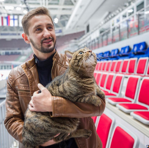 Кот Виктор еще легко отделался при перелете «Аэрофлотом»