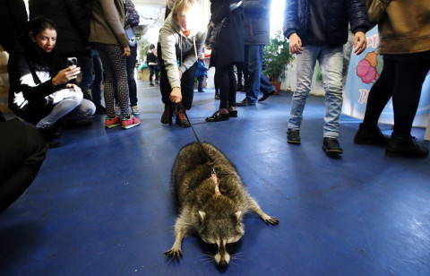 Любимое развлечение россиян оказалось вне закона